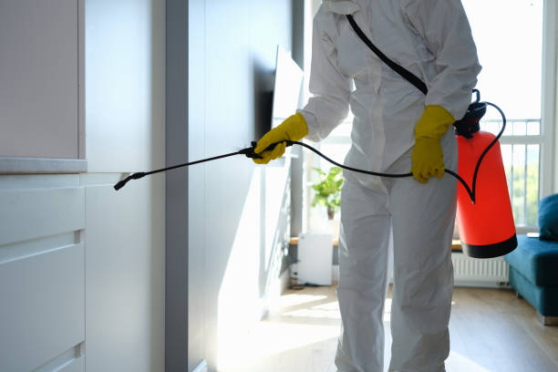 Best Mold Remediation  in Pleasant Prairie, WI