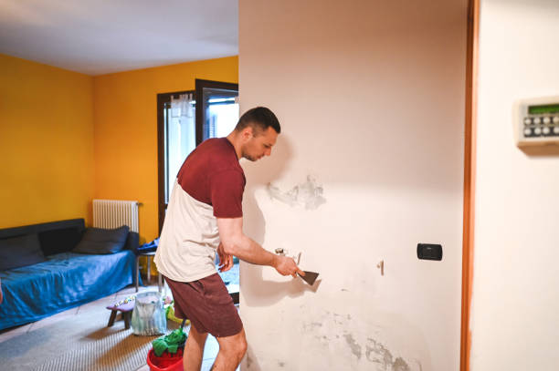 Best Same-Day Mold Removal  in Pleasant Prairie, WI
