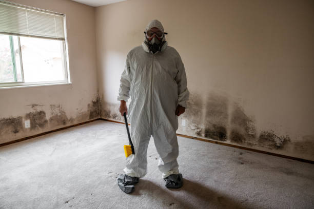 Best Emergency Mold Removal  in Pleasant Prairie, WI